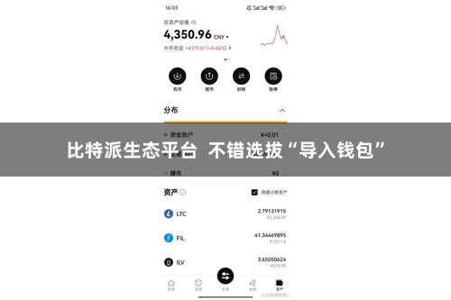 比特派生态平台 不错选拔“导入钱包”