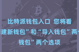 比特派钱包入口 您将看到“创建新钱包”和“导入钱包”两个选项