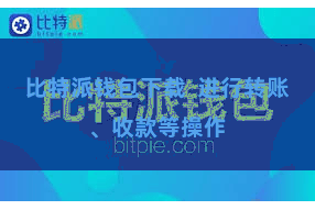 比特派钱包下载 进行转账、收款等操作