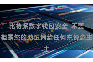 比特派数字钱包安全  不要袒露您的助记词给任何东说念主