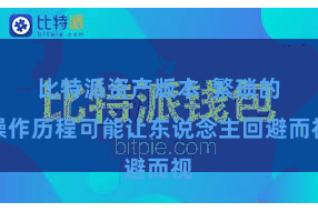 比特派资产版本  繁琐的操作历程可能让东说念主回避而视