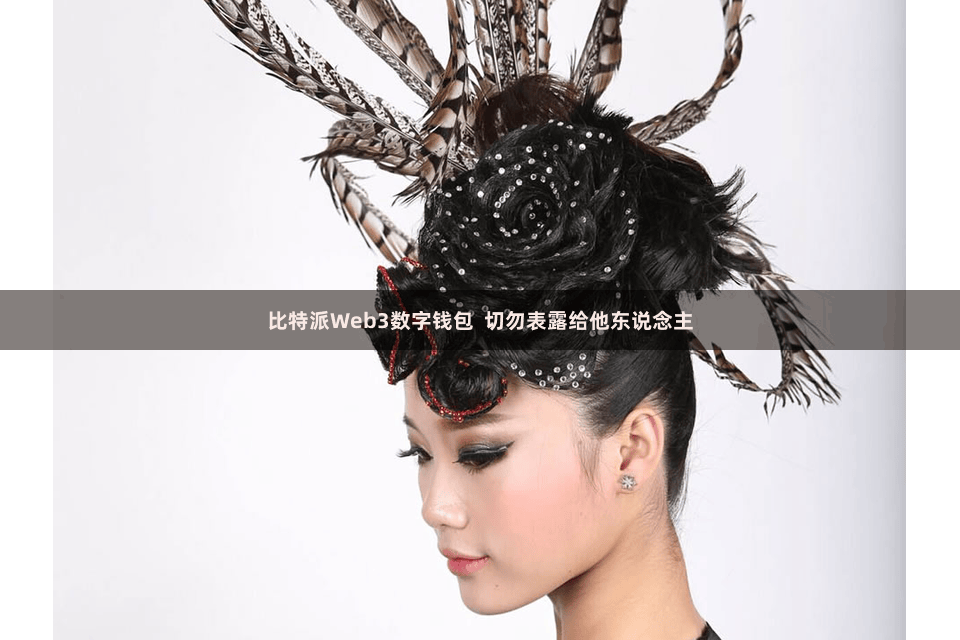 比特派Web3数字钱包  切勿表露给他东说念主