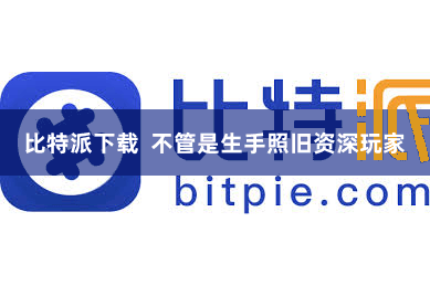 比特派下载 不管是生手照旧资深玩家