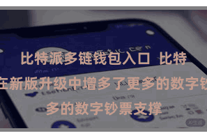 比特派多链钱包入口  比特派钞票在新版升级中增多了更多的数字钞票支撑