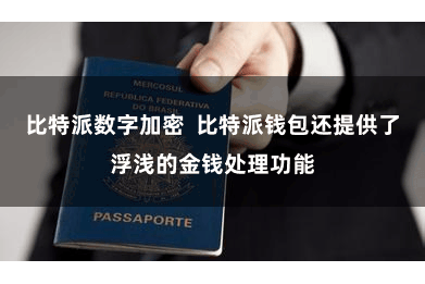 比特派数字加密  比特派钱包还提供了浮浅的金钱处理功能