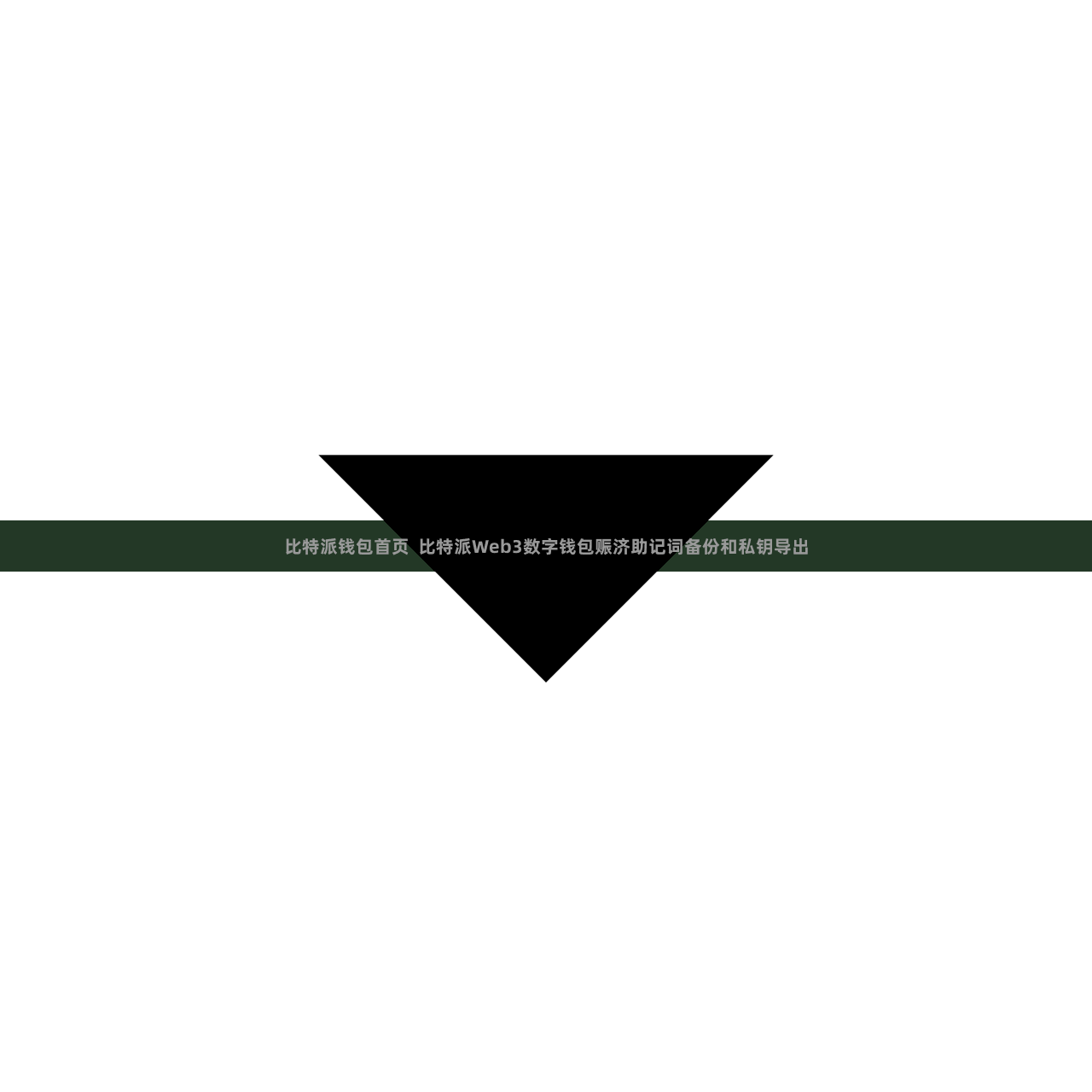 比特派钱包首页  比特派Web3数字钱包赈济助记词备份和私钥导出