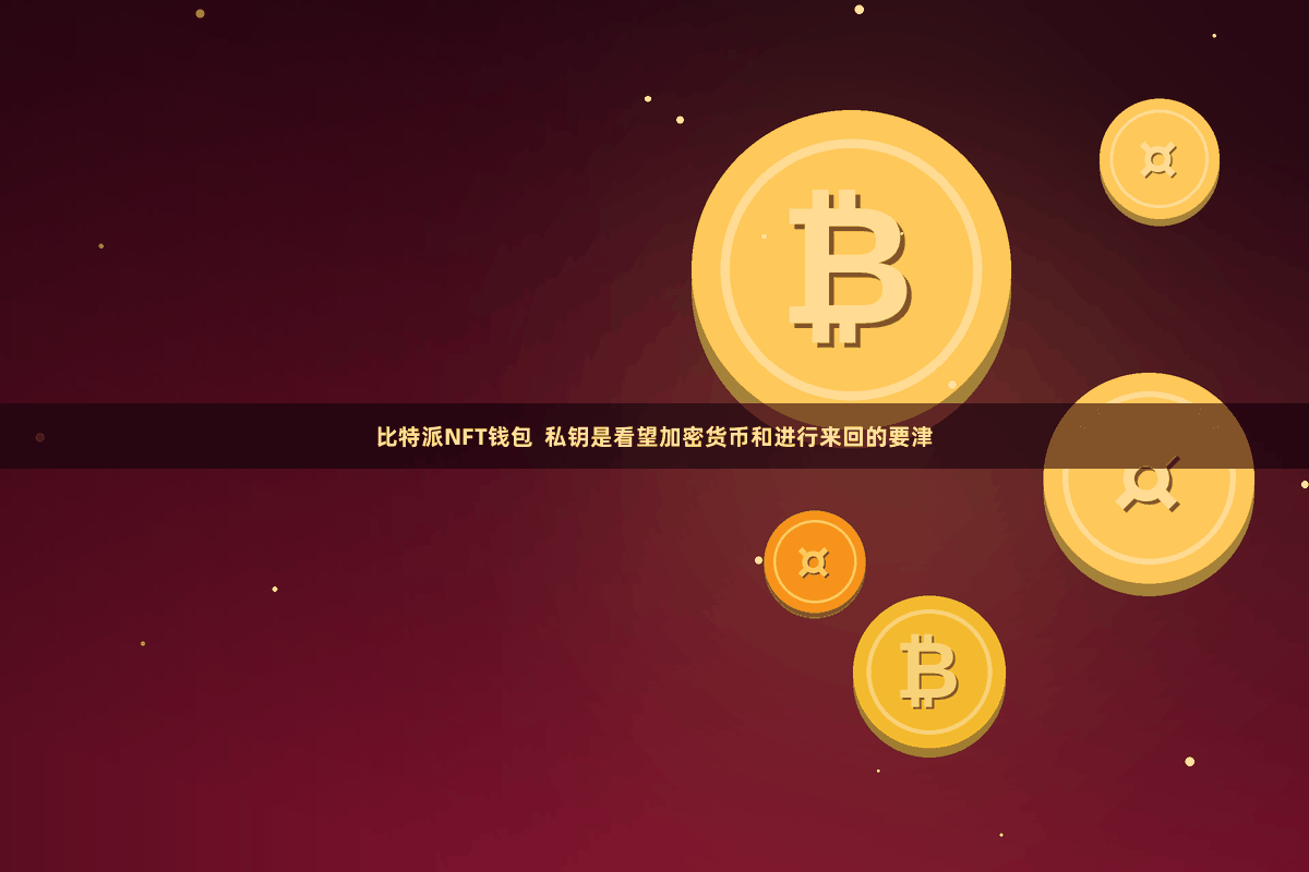 比特派NFT钱包  私钥是看望加密货币和进行来回的要津